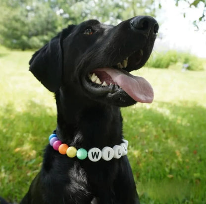 The Fur Sparkle : Friendship Bracelet for your furry kids