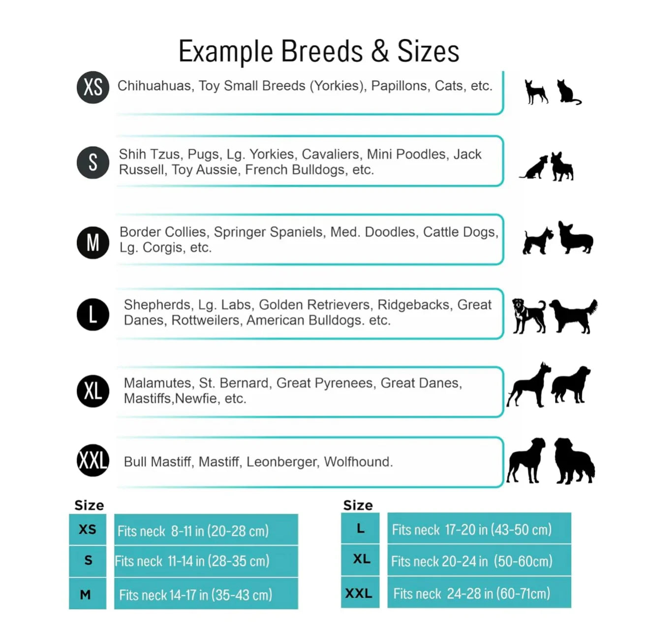 The Fur Sparkle : Friendship Bracelet for your furry kids